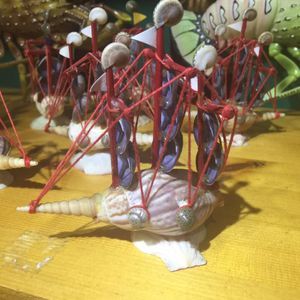 Meet your Posher, Nazli